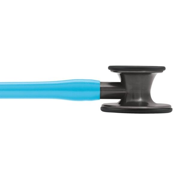 6171_card_iv_turquoise_cp.jpg 6171_card_iv_turquoise_cp.jpg